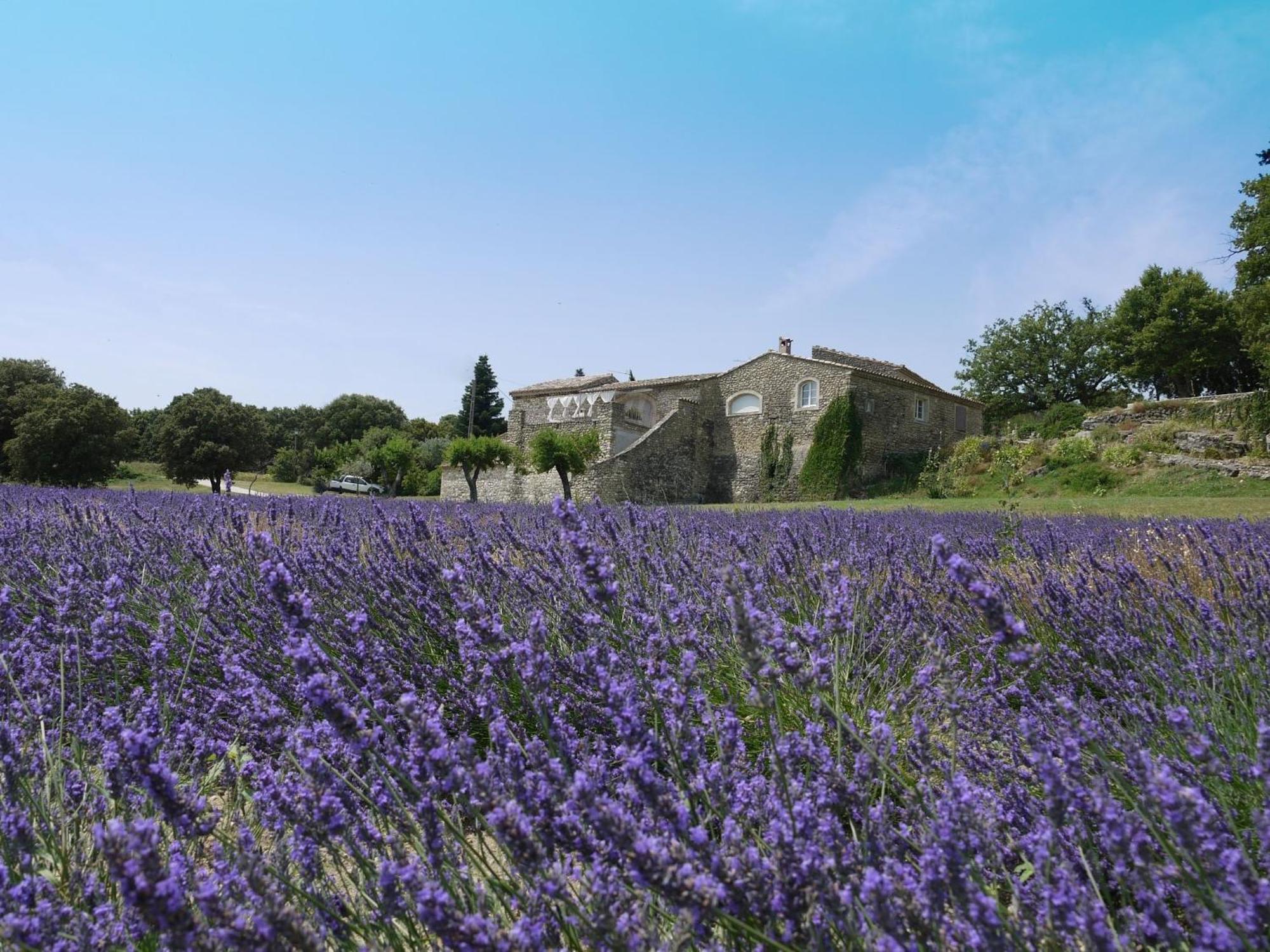La Ferme Les Eybrachas Hotel Réauville Kültér fotó